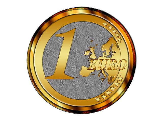 jedno euro – mince
